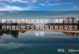 数据驱动黑料资源解析：海量信息如何构建起地下交易网及其背后深层次秘密