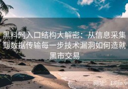 黑料网入口结构大解密：从信息采集到数据传输每一步技术漏洞如何造就黑市交易