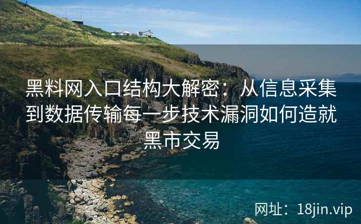 黑料网入口结构大解密:从信息采集到数据传输每一步技术漏洞如何造就黑市交易 黑料网入口结构大解密:从信息采集到数据传输每一步技术漏洞如何造就黑市交易