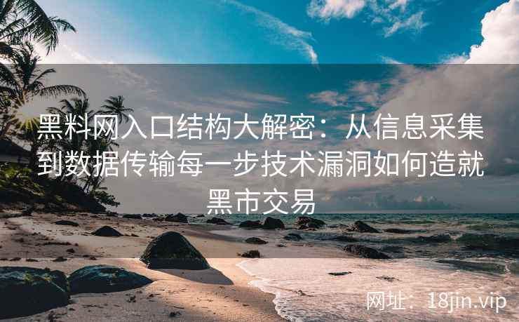 黑料网入口结构大解密：从信息采集到数据传输每一步技术漏洞如何造就黑市交易