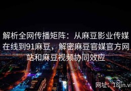 解析全网传播矩阵：从麻豆影业传媒在线到91麻豆，解密麻豆官媒官方网站和麻豆视频协同效应